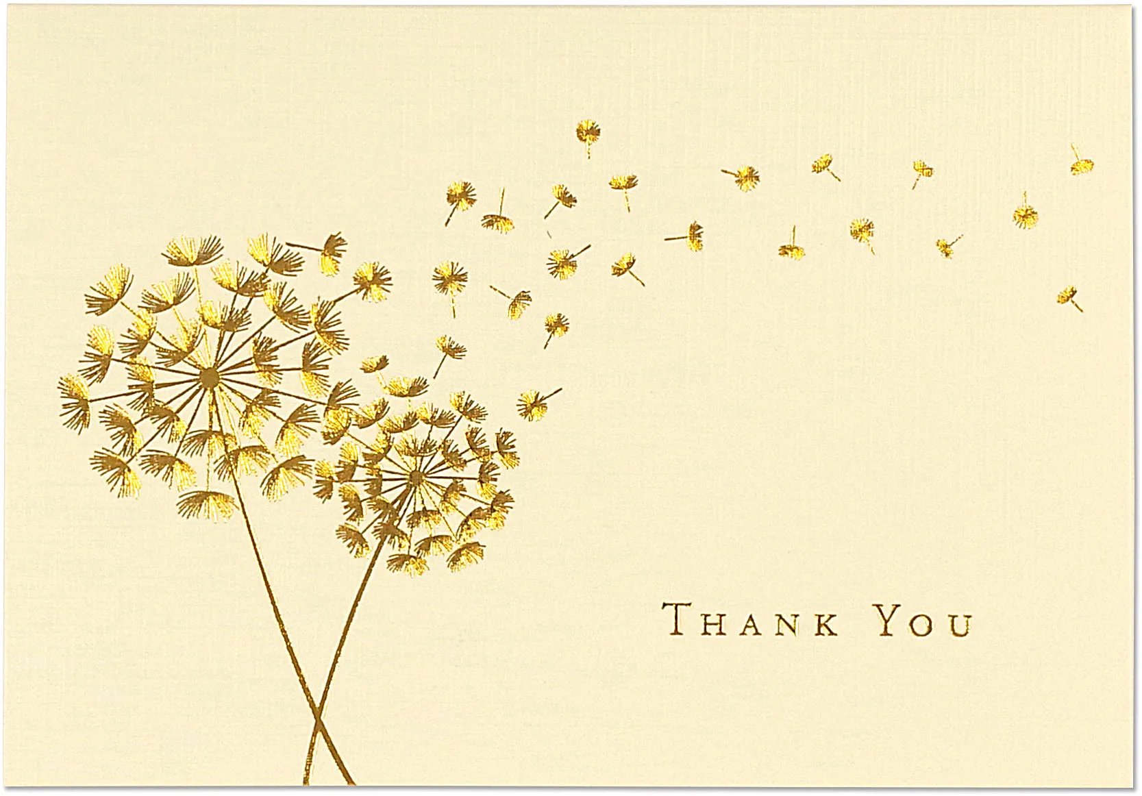 Dandelion Wishes Thank You Notes